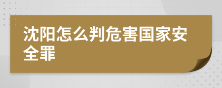 沈陽怎么判危害國家安全罪