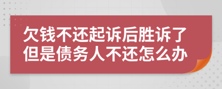 欠錢不還起訴后勝訴了但是債務人不還怎么辦
