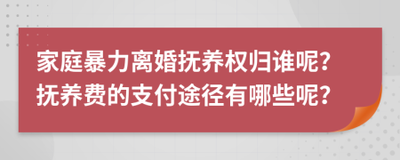 家庭暴力離婚撫養(yǎng)權(quán)歸誰(shuí)呢？撫養(yǎng)費(fèi)的支付途徑有哪些呢？