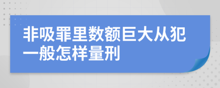 非吸罪里數(shù)額巨大從犯一般怎樣量刑