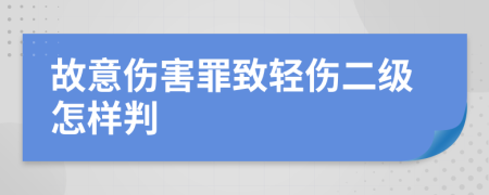 故意傷害罪致輕傷二級怎樣判