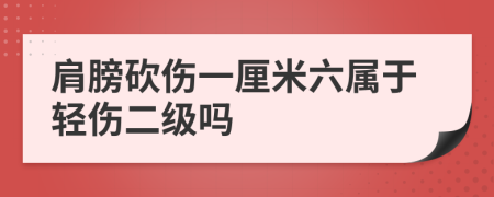 肩膀砍傷一厘米六屬于輕傷二級嗎