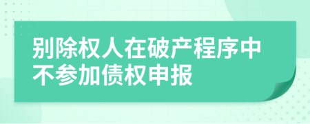 別除權(quán)人在破產(chǎn)程序中不參加債權(quán)申報(bào)