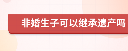 非婚生子可以繼承遺產(chǎn)嗎