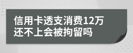 信用卡透支消費(fèi)12萬還不上會(huì)被拘留嗎