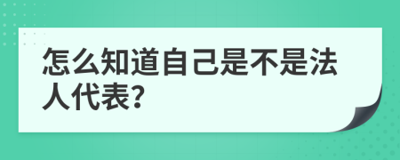 怎么知道自己是不是法人代表？