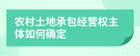 農(nóng)村土地承包經(jīng)營(yíng)權(quán)主體如何確定