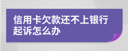 信用卡欠款還不上銀行起訴怎么辦