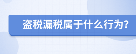 盜稅漏稅屬于什么行為？