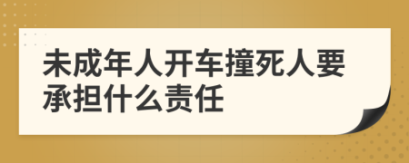 未成年人開車撞死人要承擔(dān)什么責(zé)任