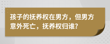 孩子的撫養(yǎng)權(quán)在男方，但男方意外死亡，撫養(yǎng)權(quán)歸誰(shuí)？