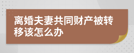 離婚夫妻共同財(cái)產(chǎn)被轉(zhuǎn)移該怎么辦