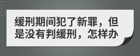 緩刑期間犯了新罪，但是沒(méi)有判緩刑，怎樣辦