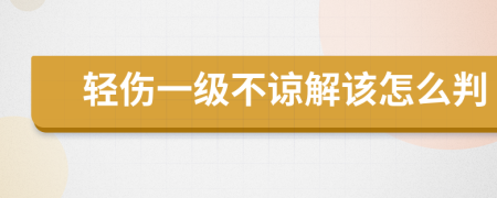 輕傷一級(jí)不諒解該怎么判