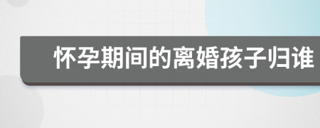 懷孕期間的離婚孩子歸誰
