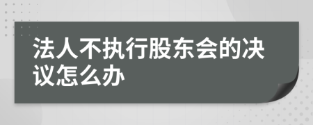 法人不執(zhí)行股東會的決議怎么辦
