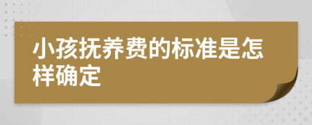 小孩撫養(yǎng)費(fèi)的標(biāo)準(zhǔn)是怎樣確定