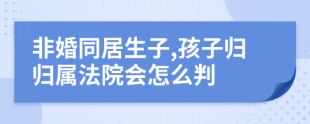 非婚同居生子,孩子歸歸屬法院會怎么判