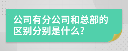 公司有分公司和總部的區(qū)別分別是什么?