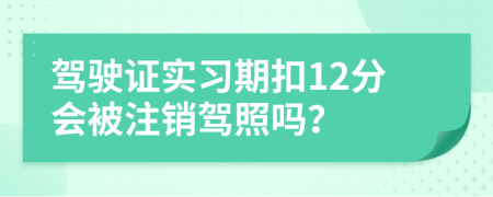 駕駛證實習期扣12分會被注銷駕照嗎？