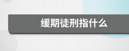 緩期徒刑指什么