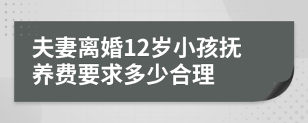 夫妻離婚12歲小孩撫養(yǎng)費(fèi)要求多少合理