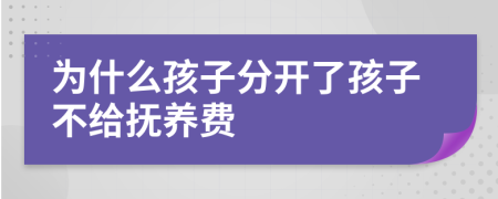 為什么孩子分開(kāi)了孩子不給撫養(yǎng)費(fèi)