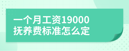 一個(gè)月工資19000撫養(yǎng)費(fèi)標(biāo)準(zhǔn)怎么定