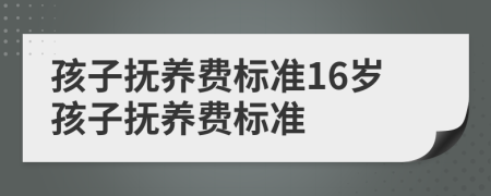 孩子撫養(yǎng)費(fèi)標(biāo)準(zhǔn)16歲孩子撫養(yǎng)費(fèi)標(biāo)準(zhǔn)