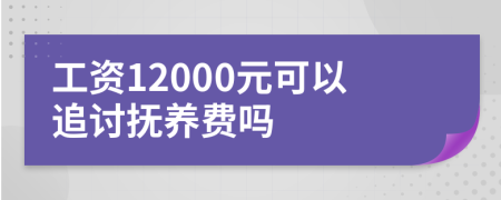 工資12000元可以追討撫養(yǎng)費嗎