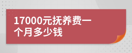 17000元撫養(yǎng)費(fèi)一個(gè)月多少錢(qián)