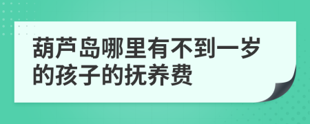 葫蘆島哪里有不到一歲的孩子的撫養(yǎng)費(fèi)