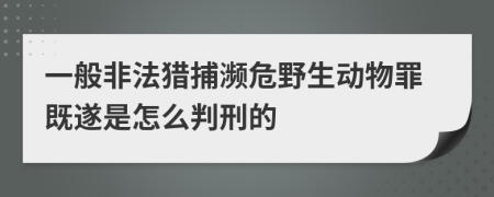 一般非法獵捕瀕危野生動(dòng)物罪既遂是怎么判刑的