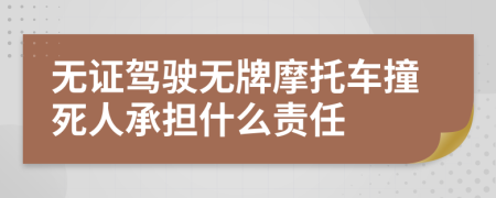 無證駕駛無牌摩托車撞死人承擔什么責任