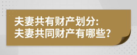 夫妻共有財(cái)產(chǎn)劃分: 夫妻共同財(cái)產(chǎn)有哪些？