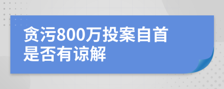 貪污800萬投案自首是否有諒解