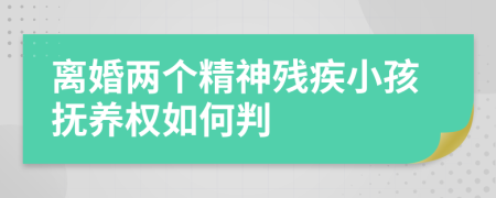 離婚兩個(gè)精神殘疾小孩撫養(yǎng)權(quán)如何判