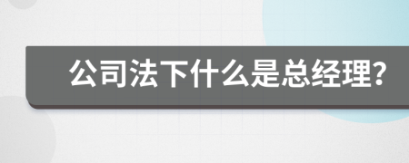 公司法下什么是總經(jīng)理？