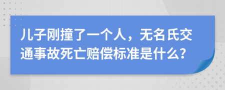 兒子剛撞了一個(gè)人，無(wú)名氏交通事故死亡賠償標準是什么？
