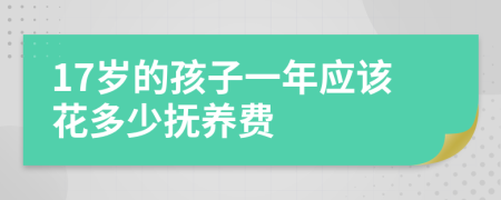 17歲的孩子一年應(yīng)該花多少撫養(yǎng)費