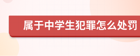 屬于中學(xué)生犯罪怎么處罰