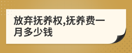放棄撫養(yǎng)權(quán),撫養(yǎng)費(fèi)一月多少錢(qián)