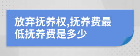 放棄撫養(yǎng)權(quán),撫養(yǎng)費(fèi)最低撫養(yǎng)費(fèi)是多少