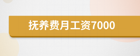 撫養(yǎng)費(fèi)月工資7000