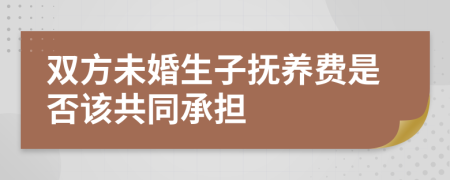 雙方未婚生子撫養(yǎng)費是否該共同承擔