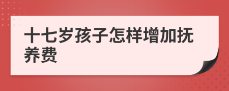 十七歲孩子怎樣增加撫養(yǎng)費