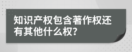 知識產(chǎn)權(quán)包含著作權(quán)還有其他什么權(quán)？