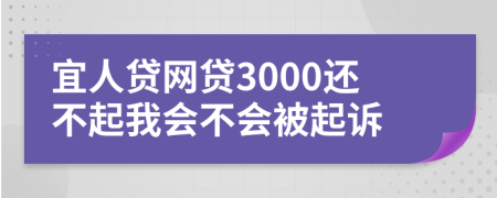 宜人貸網(wǎng)貸3000還不起我會(huì)不會(huì)被起訴