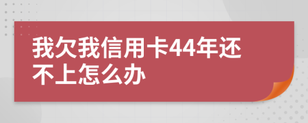 我欠我信用卡44年還不上怎么辦
