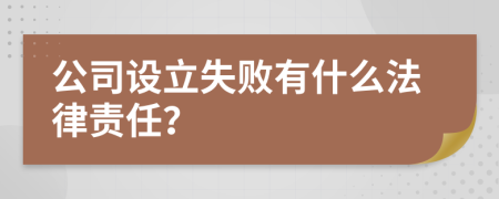 公司設(shè)立失敗有什么法律責(zé)任？